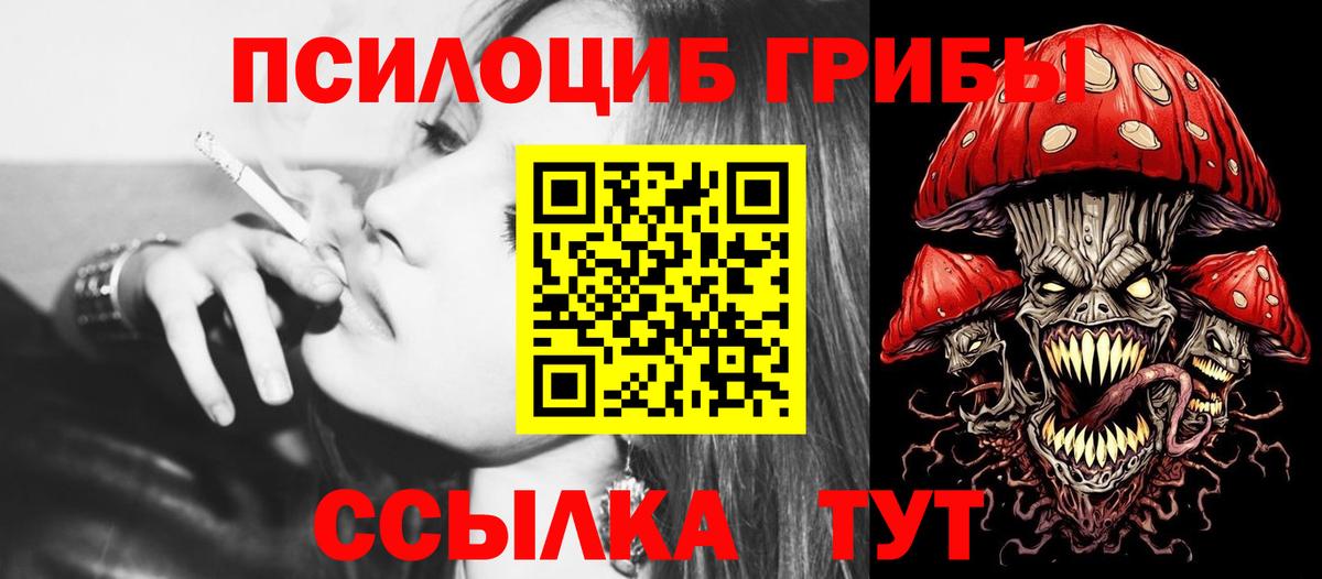 Галлюциногенные грибы Cubensis Гусиноозёрск