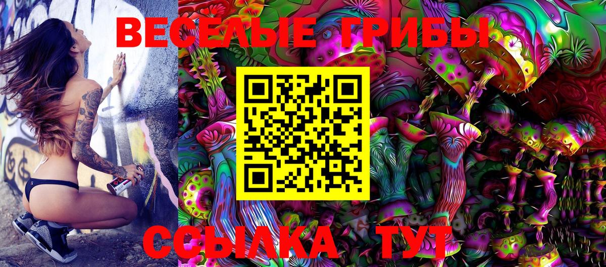 Гусиноозёрск  Галлюциногенные грибы GOLDEN TEACHER  Вход с VPN 